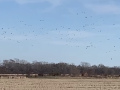 IMG-0196