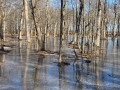 IMG-0207