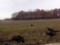 IMG-0221