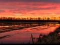 WOHS_228